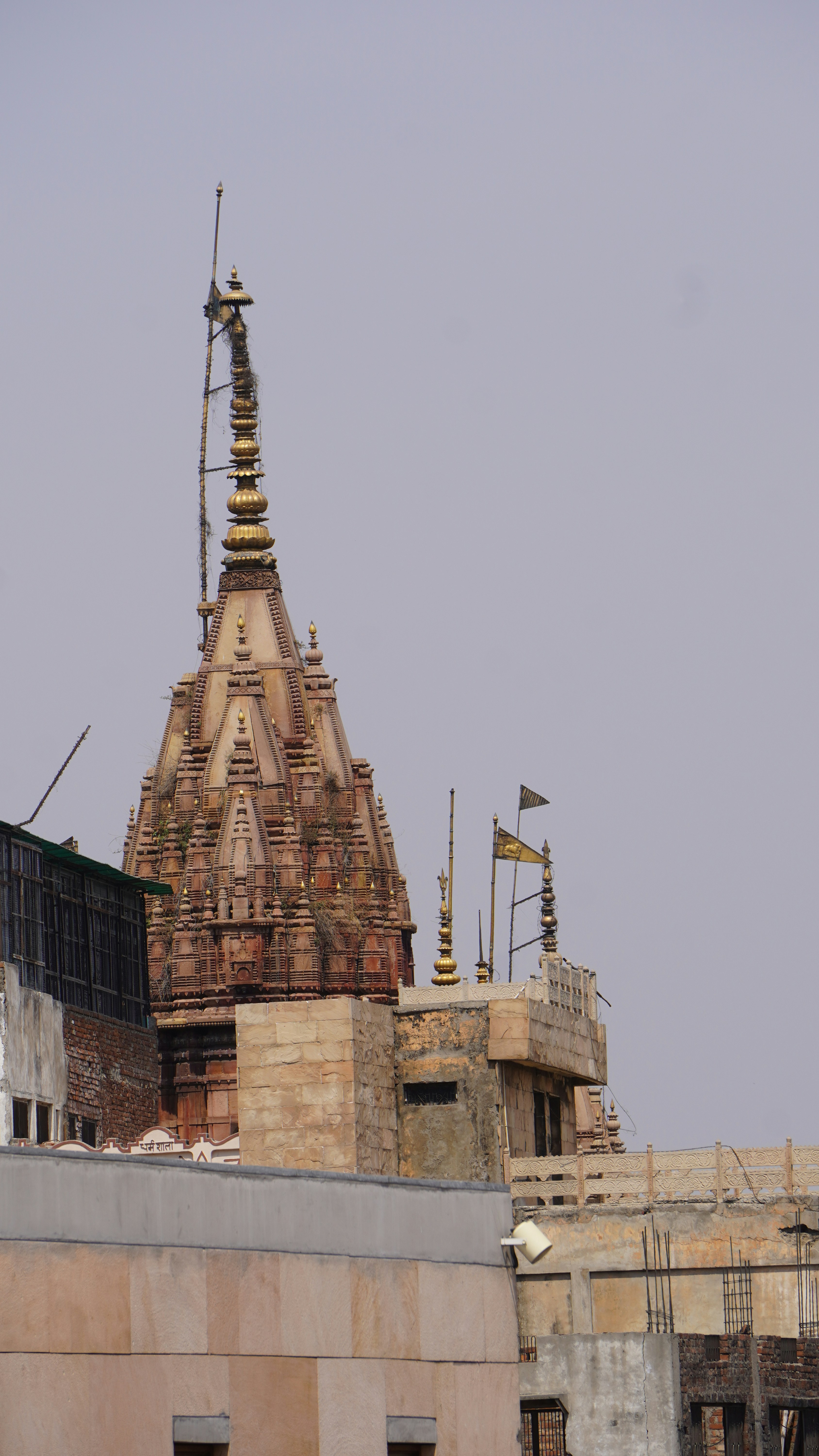 Highlights of Northern Varanasi, Half Day Walking Tour